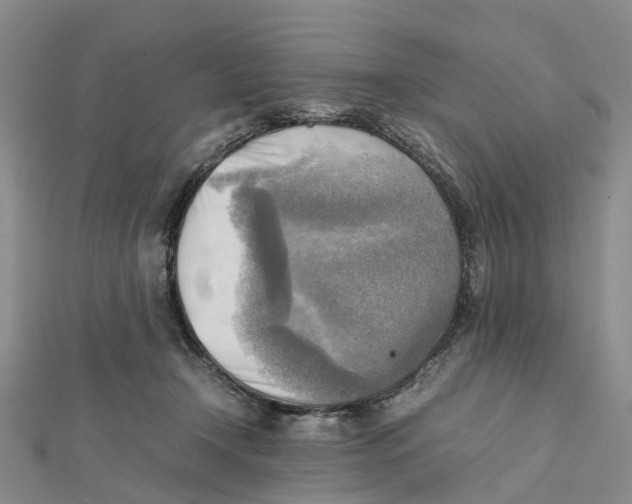 X0000112090366200909011109