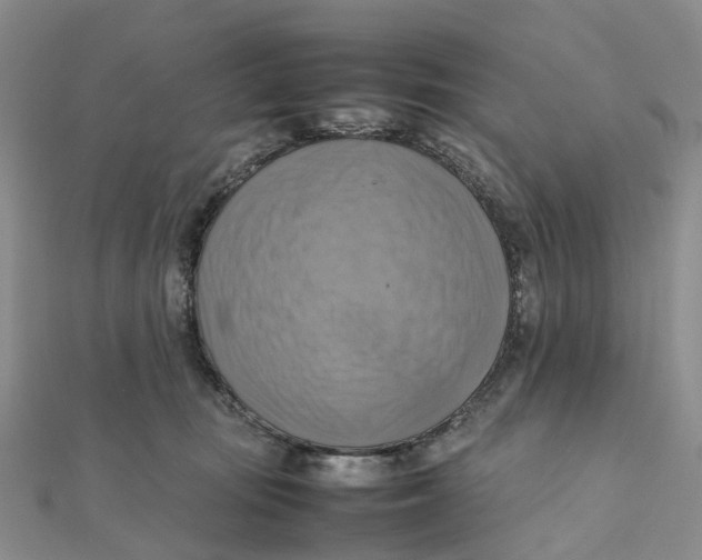X0000112090371200909011109