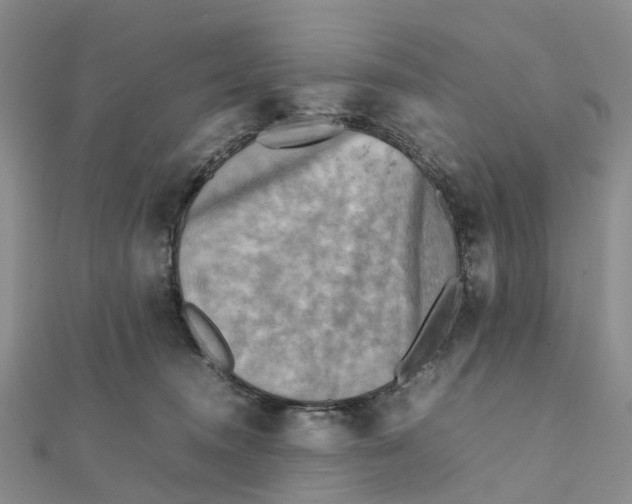 X0000112090372200909011109