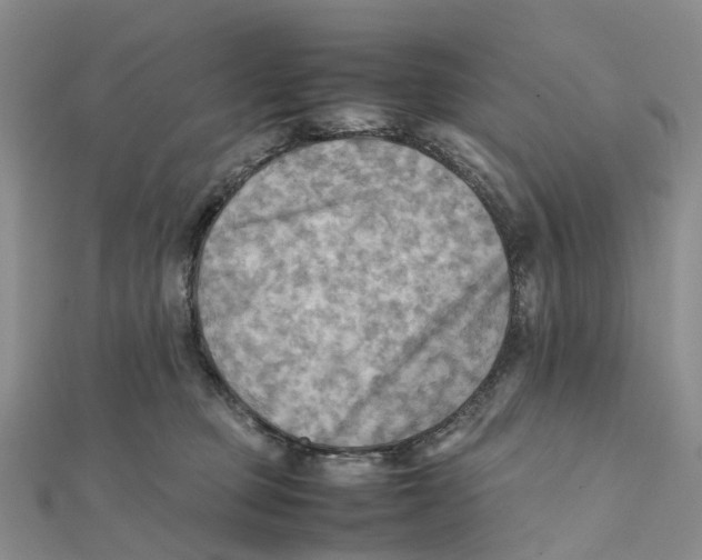 X0000112090373200909011109