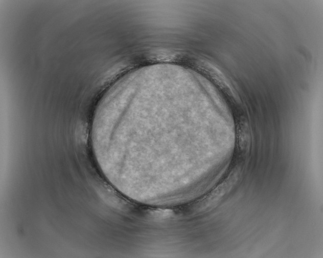 X0000112090374200909011109