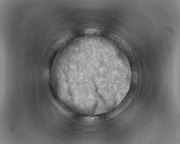 X0000112090375200909011109