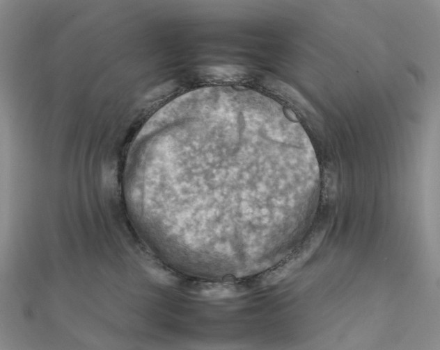 X0000112090377200909011109