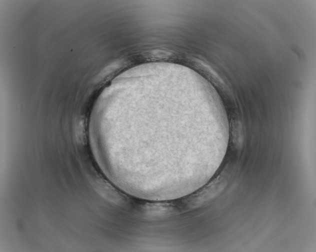 X0000112090378200909011109