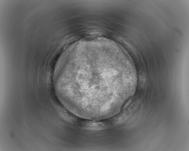 X0000112090379200909011109