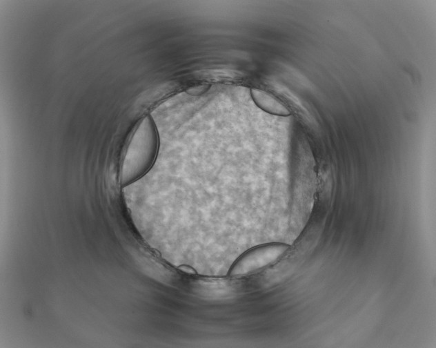 X0000112090381200909011109