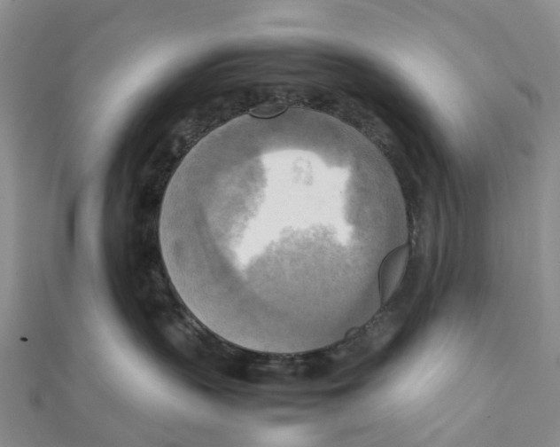 X0000112090383200909011109