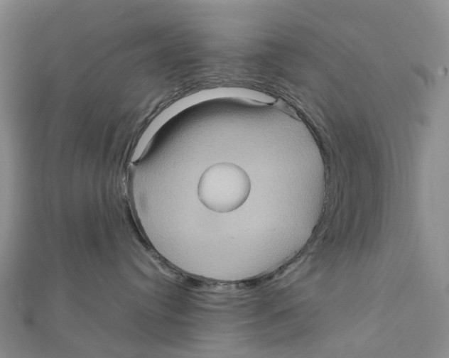 X0000112090384200909011109