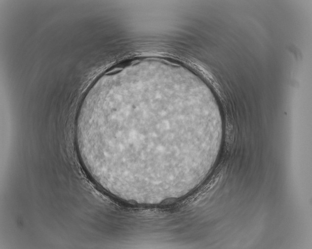 X0000112090385200909011108