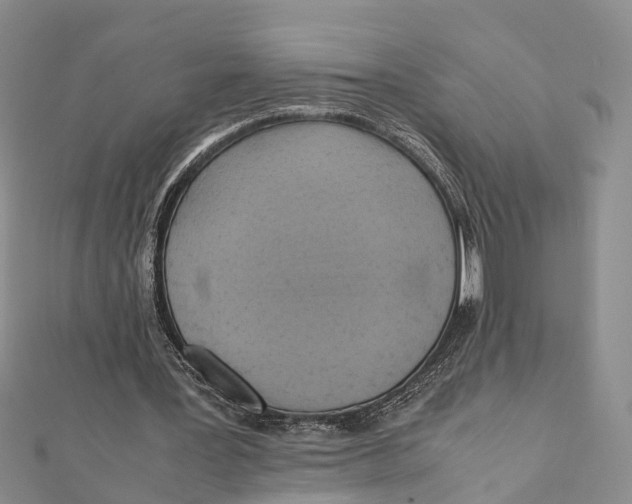 X0000112090387200909011108
