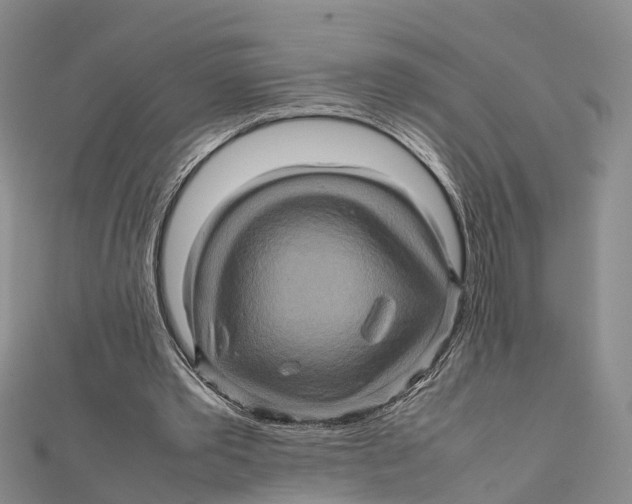 X0000112090389200909011108