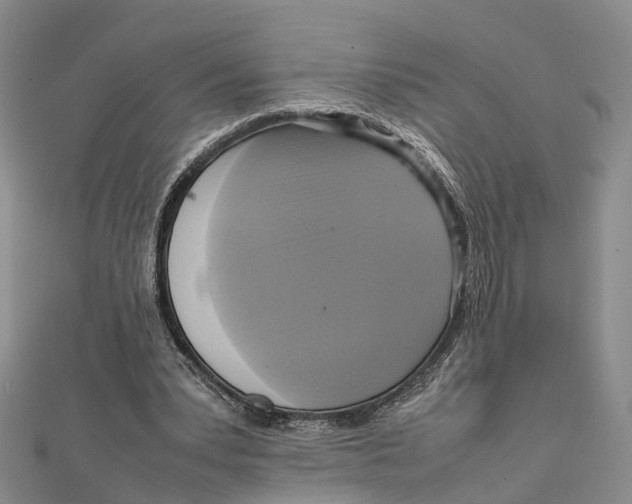 X0000112090391200909011108