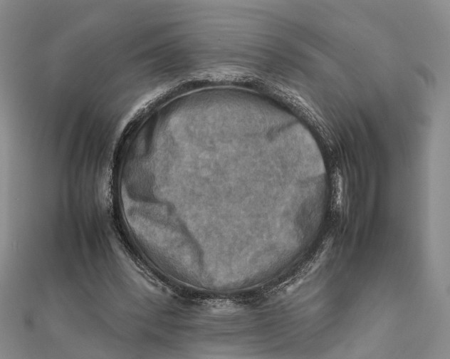 X0000112090392200909011108