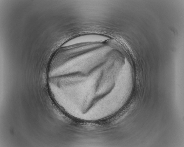 X0000112090393200909011108