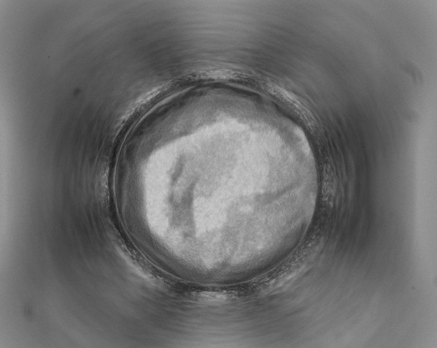 X0000112090394200909011108