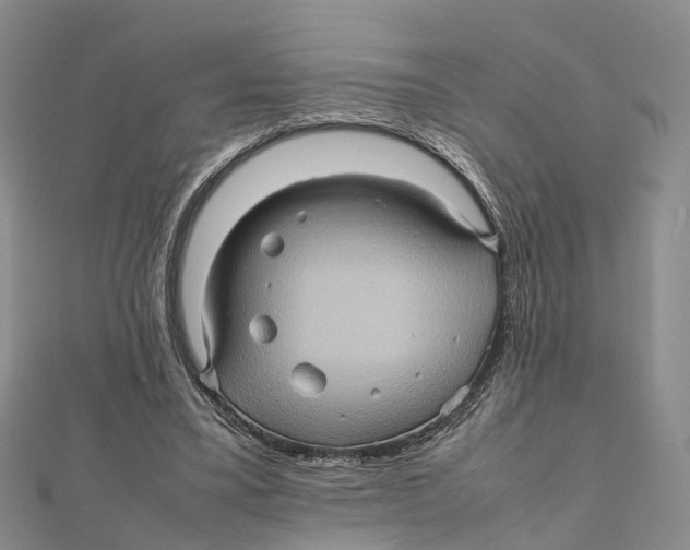 X0000112090395200909011108