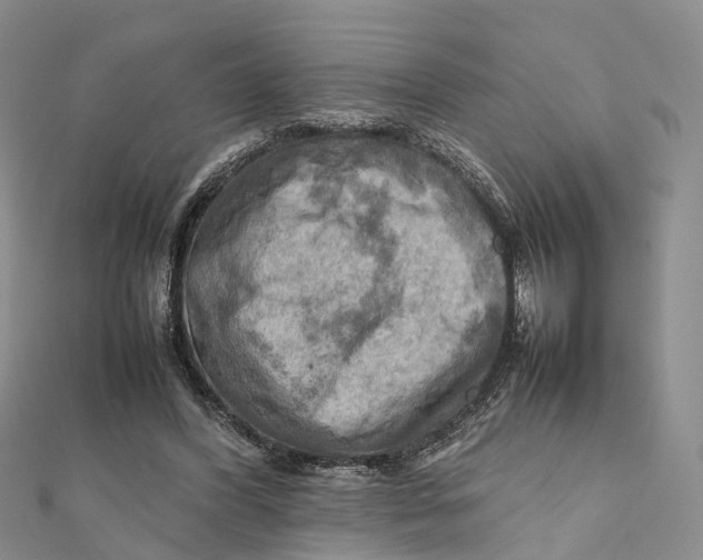 X0000112090396200909011108