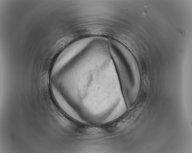 X0000112090397200909011108