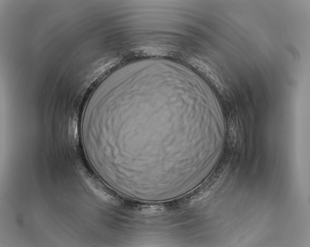 X0000112090398200909011108