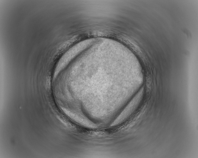 X0000112090401200909011108