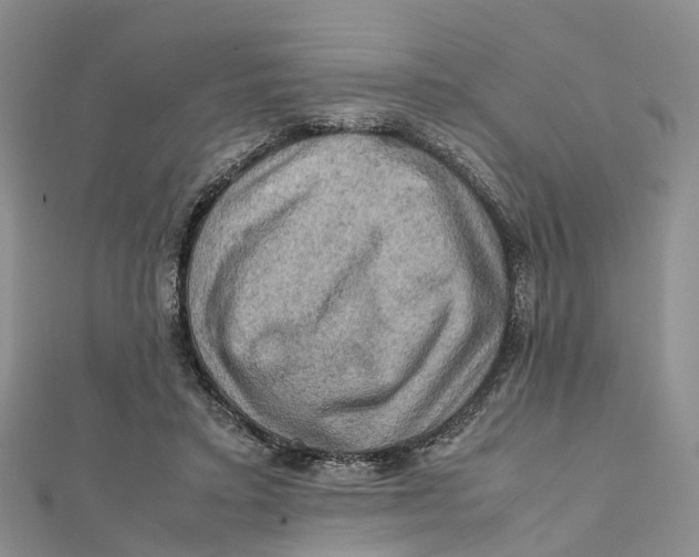 X0000112090403200909011108