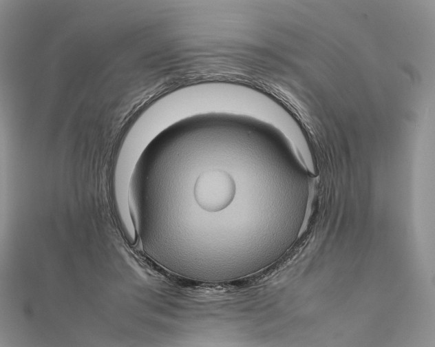 X0000112090405200909011108