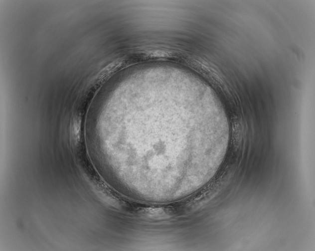 X0000112090406200909011108