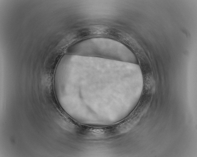 X0000112090409200909011108