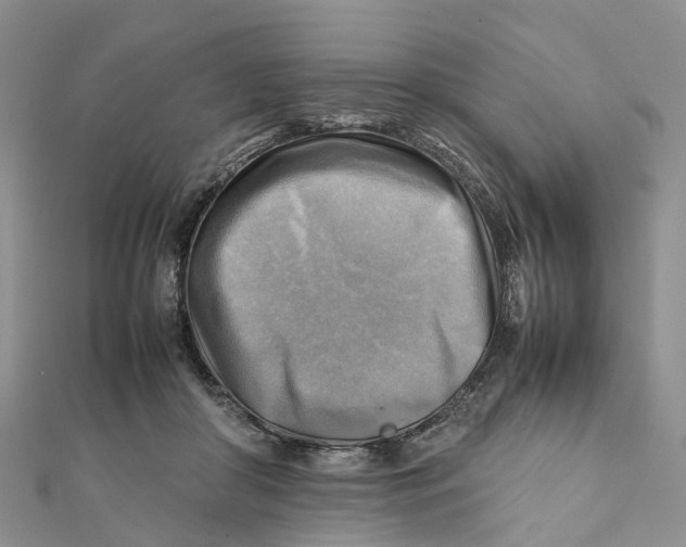 X0000112090410200909011108