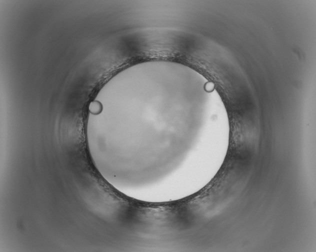 X0000112090411200909011108