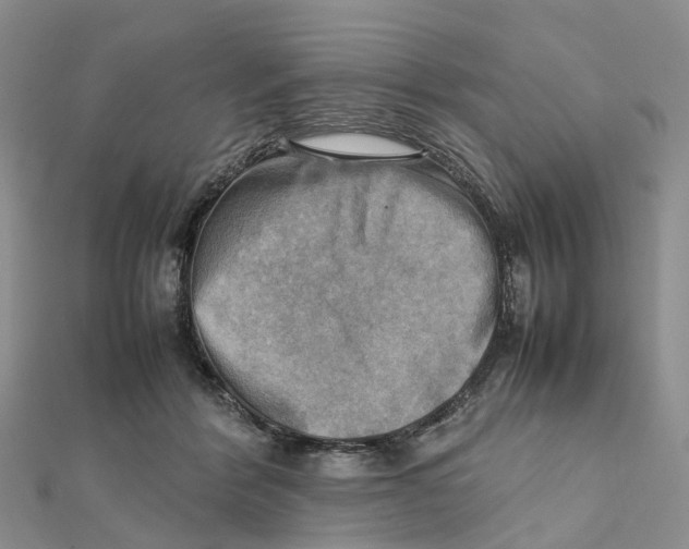 X0000112090412200909011108