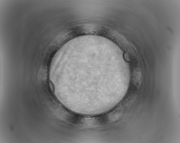 X0000112090413200909011108