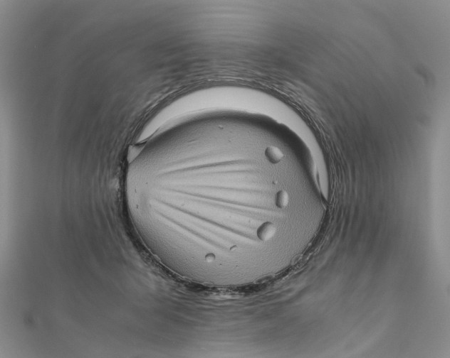 X0000112090415200909011108