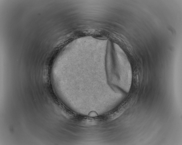X0000112090416200909011108