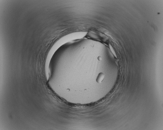 X0000112090417200909011108
