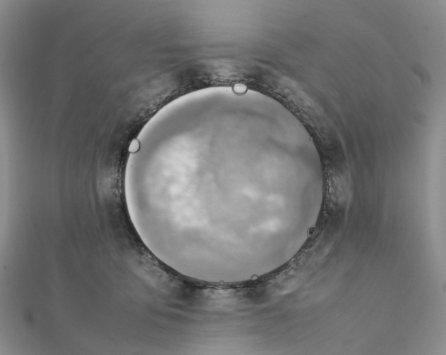 X0000112090419200909011108