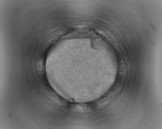 X0000112090420200909011108