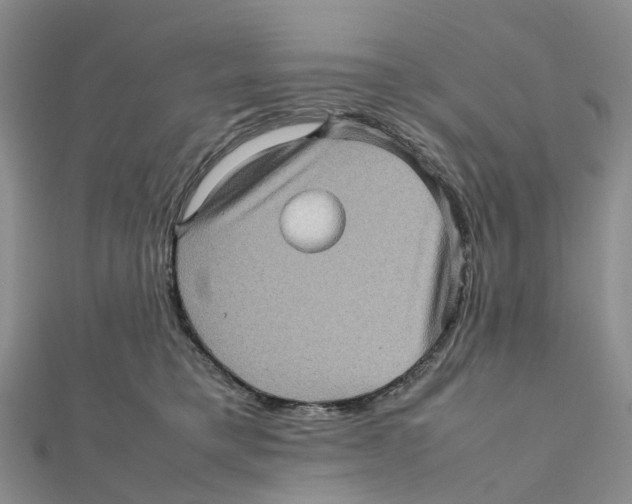 X0000112090421200909011108