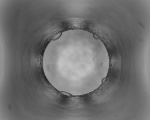 X0000112090423200909011108