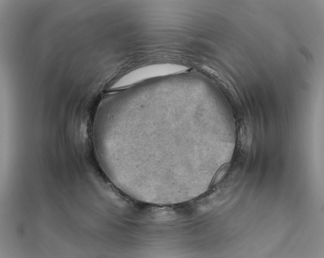 X0000112090424200909011108