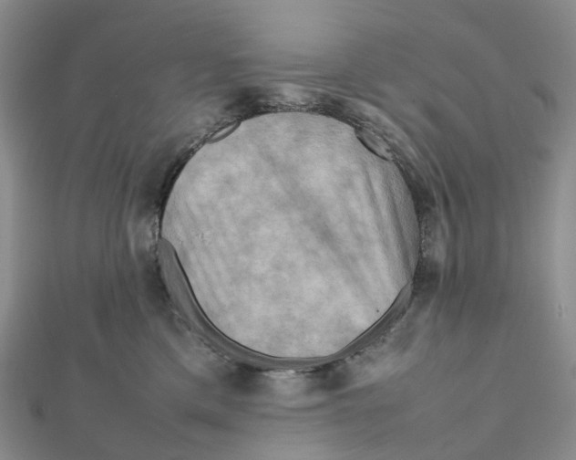 X0000112090425200909011108