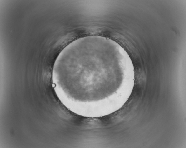 X0000112090427200909011108
