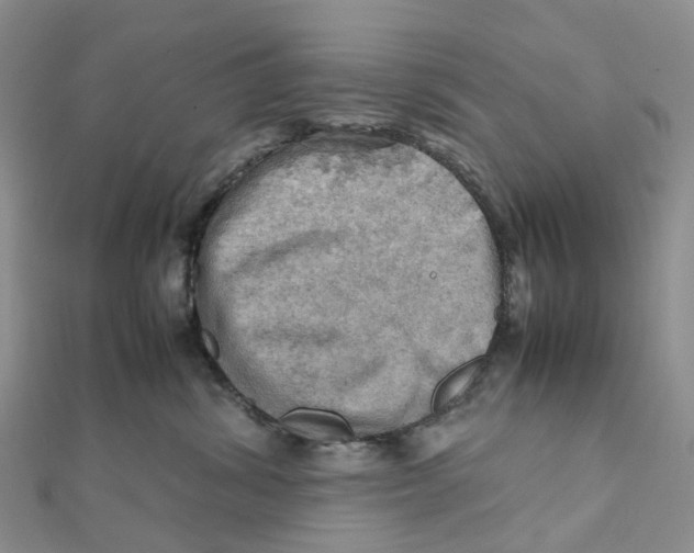 X0000112090428200909011108
