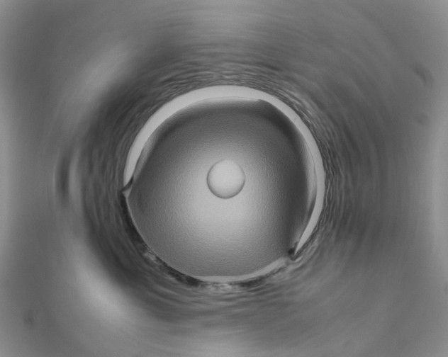 X0000112090429200909011108