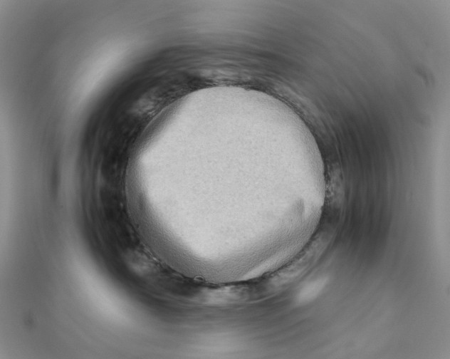 X0000112090430200909011108