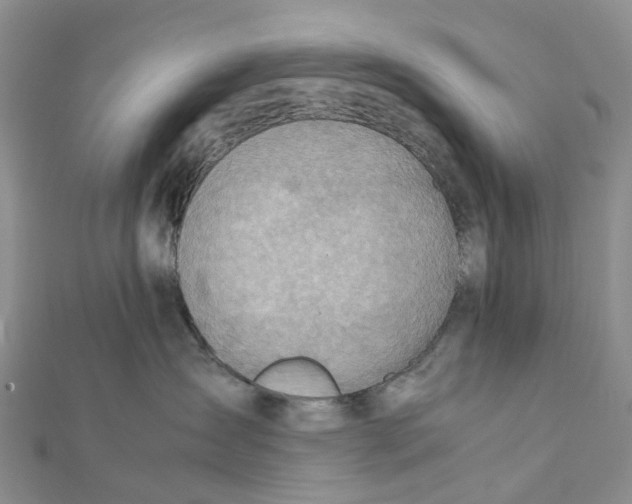 X0000112090431200909011108