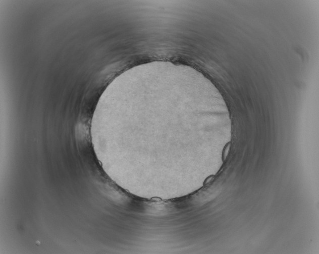 X0000112090432200909011108