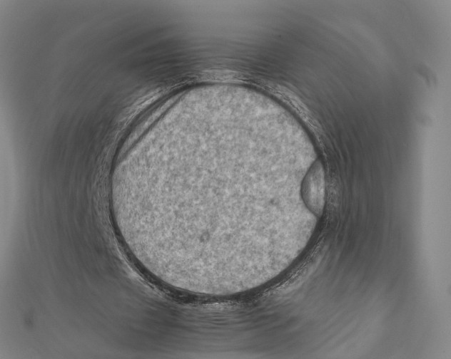 X0000112090433200909011107