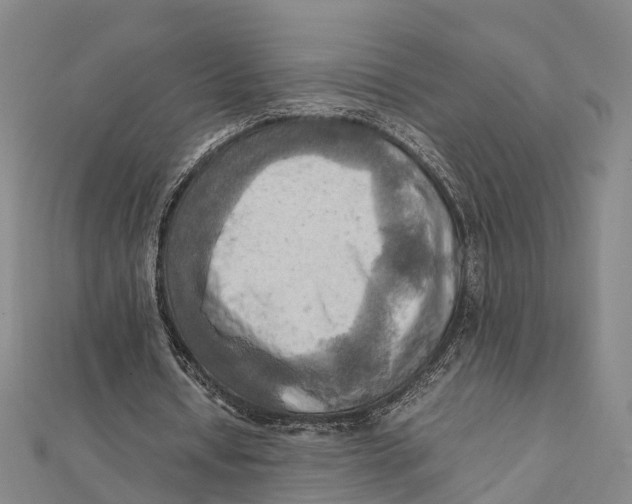 X0000112090434200909011107