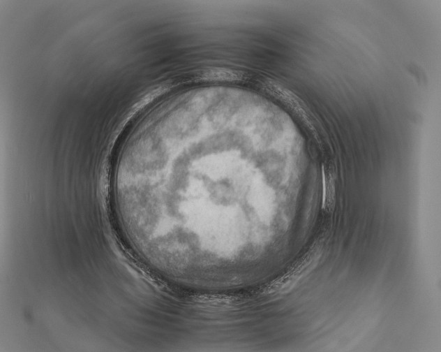 X0000112090435200909011107